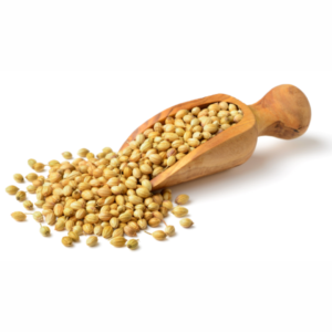Coriander Seeds